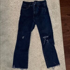 Express Flare Blue Jeans